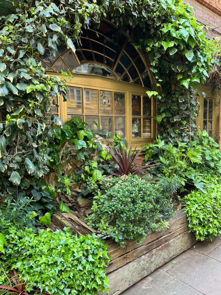 Planters and living archways