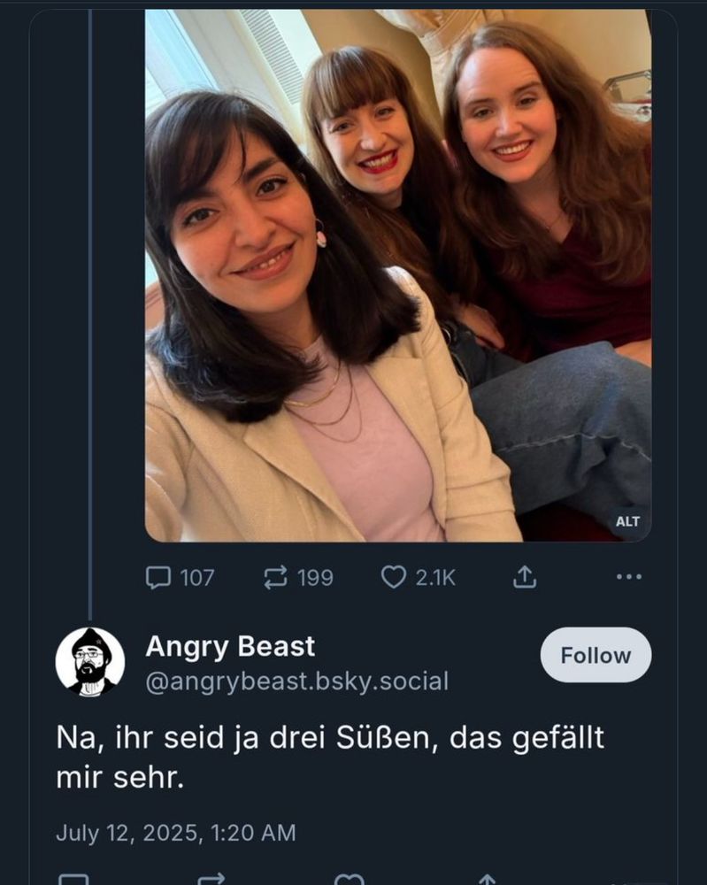 Foto von Ricarda Lang, Heidi Reichinnek und Rasha Nasr (hat gegen den Familiennachzug gestimmt) unter dem der User @angrybeast.bsky.social schreibt: ‚na ihr seid ja drei Süßen (sic!)‘ Er ist ein Creep. 