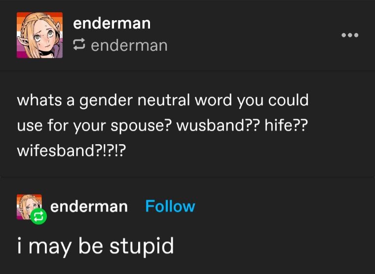 Whats a gender neutral word you could use for your spouse? Wusband?? Hife?? Wifesband?!?!?

i may be stupid