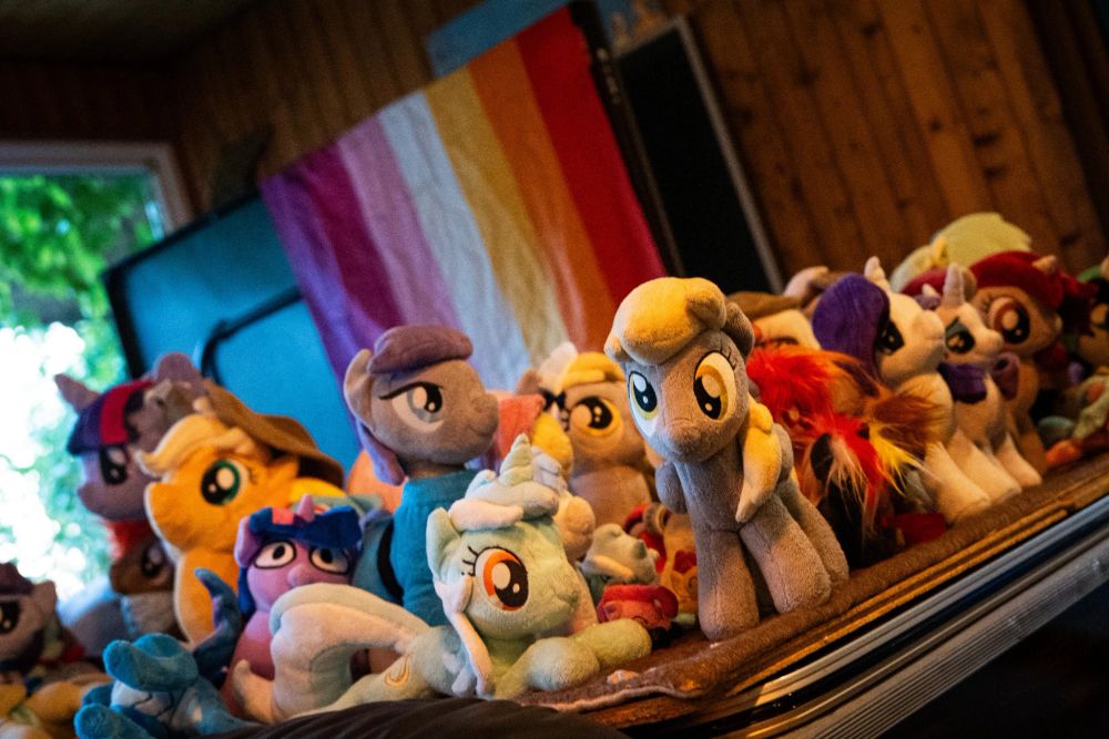 Image of a table full of pony plushies in the background there is a lesbian pride flag.