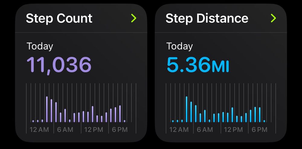 11306 steps and 5.36 miles walked