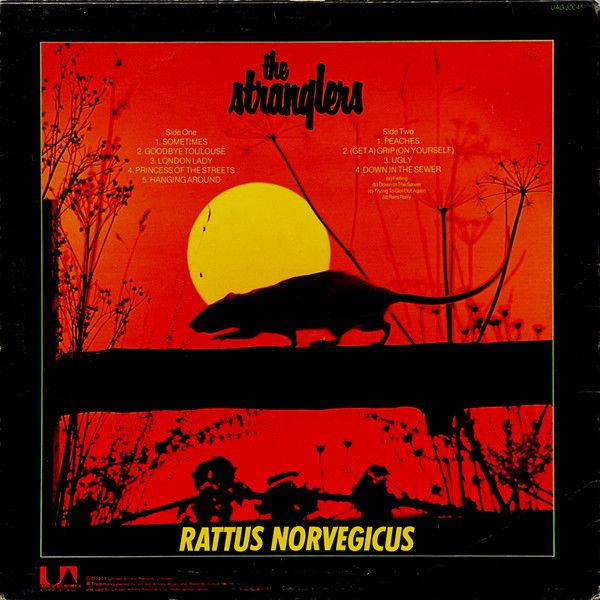 Back cover of the Strangler's 1977 album Rattus Norvegicus