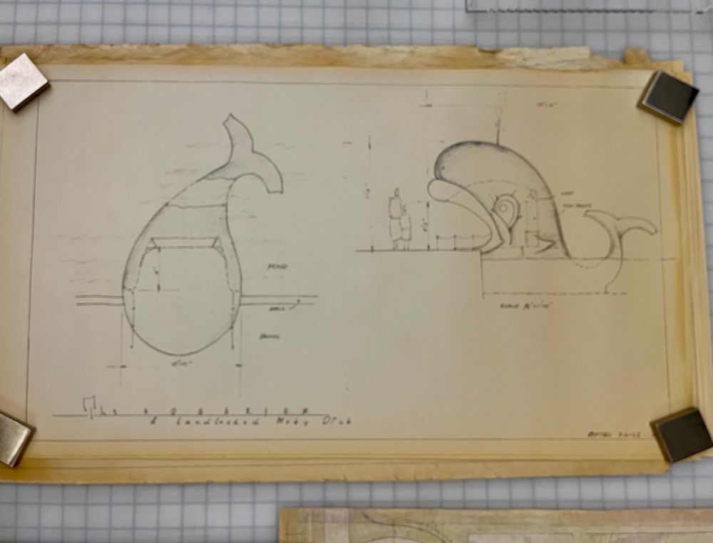 Drawing from former zoo 