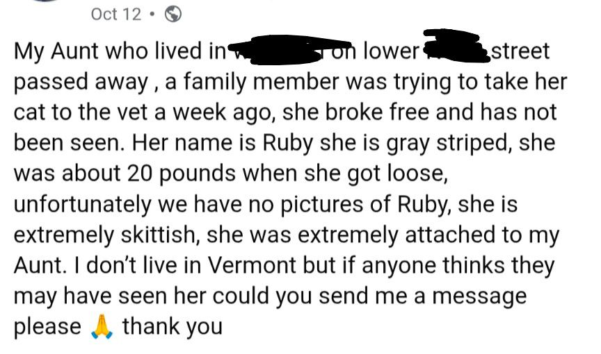 screenshot of a facebook post from oct 12: "My aunt who lived in [redacted] on lower [redacted] street passed away, a family member was trying to take her cat to the vet a week ago, she broke free and has not been seen. her name is Ruby she is gray striped, she was about 20 pounds when she got loose, unfortunately we have no pictures of Ruby, she is extremely skittish, she was extremely attached to my aunt. I don't live in Vermont but if anyone thinks they may have seen her could you send me a message please. prayer hands emoji, thank you." 