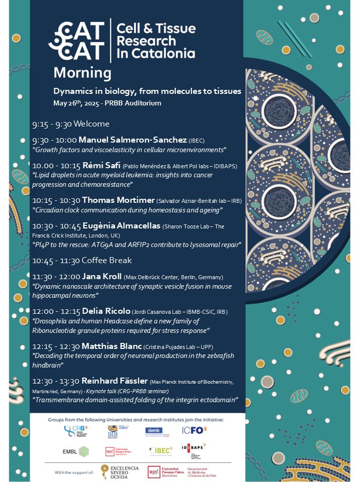 Program of the 9th CATCAT morning on "Dynamics in biology, from molecules to tissues", May 26th 2025