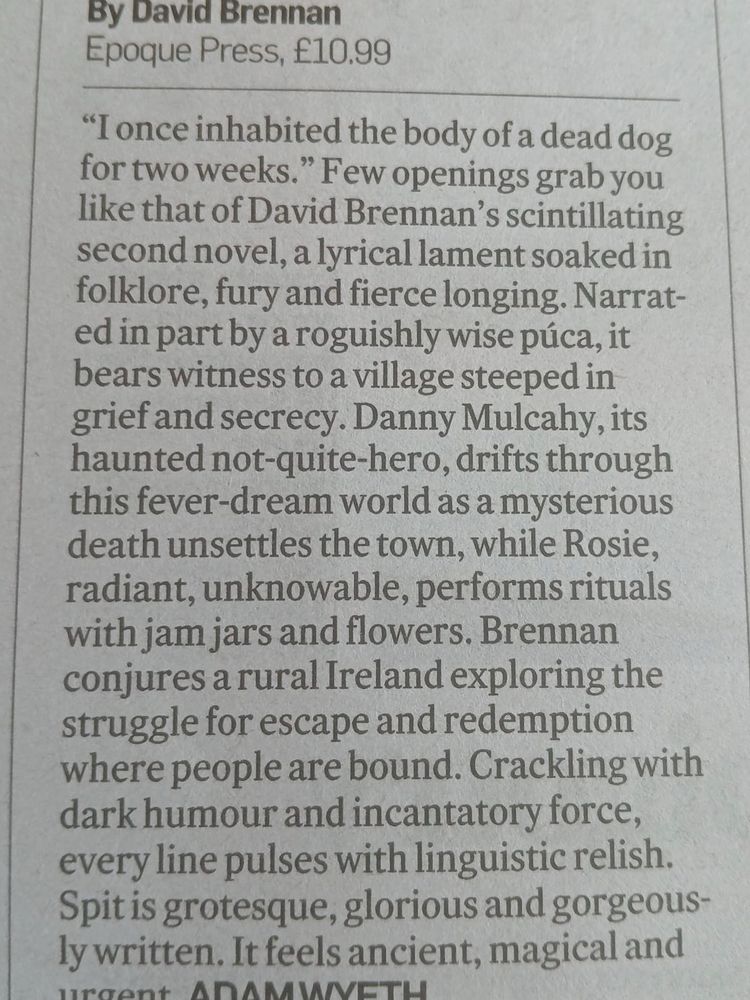 Review of Spit in The Irish Times 