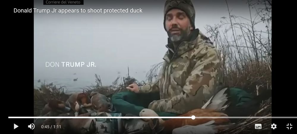 Kuvakaappaus videolta.