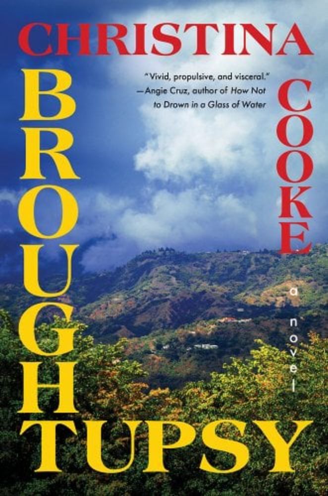 Broughtupsy a book by Christina Cooke