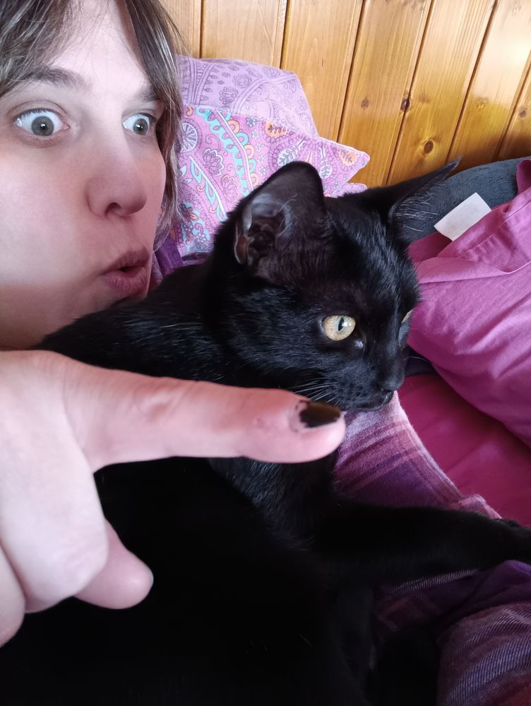 La gata negra mirando a la ventana, y yo poniendo cara de gilipollas mientras señalo con el dedo