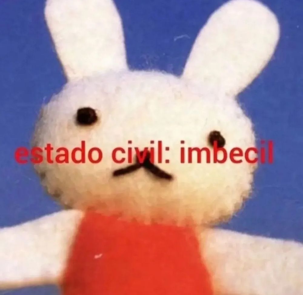 Muñequito de conejo de ganchillo de felpa con el texto "estado civil: imbécil".