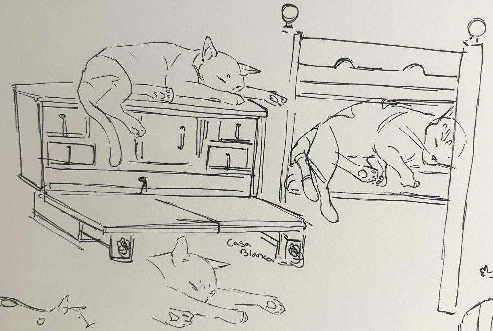 Pen sketches of cats sleeping