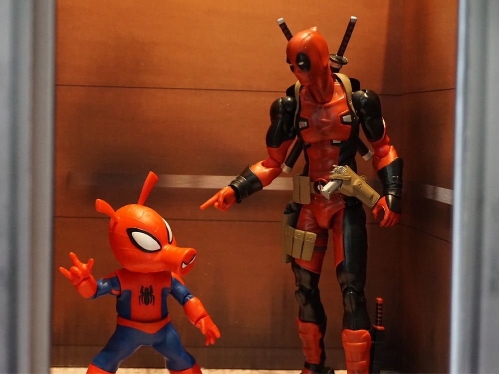 Deadpool takes an elevator ride with spider pig 