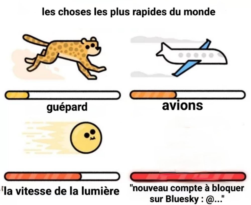 Meme des choses les plus rapides du monde :

-le guépard : petite vitesse 
-l'avion : moyenne vitesse 
-la vitesse de la lumière : grande vitesse 
-nouveau compte à bloquer sur Bluesky : @..  : très grande vitesse 