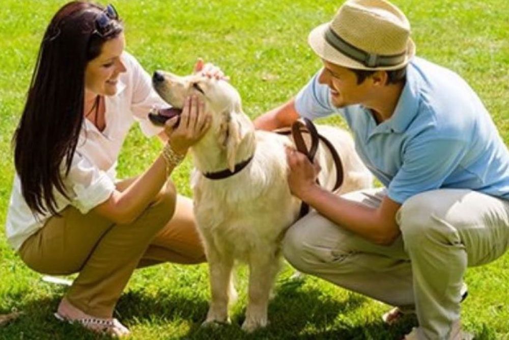 Photo de deux personnes qui discutent autour d'un chien
Le chien s'appelle "Bruno Lemaire face à l'inflation" la personne demande si elle peut le caresser et l'autre lui répond oui il ne fera rien