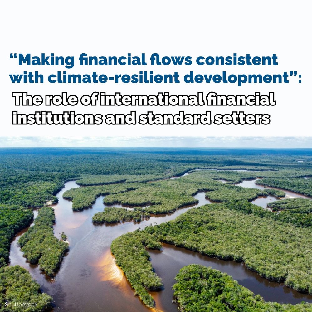 Photo of Amazon rainforest from on high, showing rivers and forest. Above this, blue text on white background, which says "“Making financial flows consistent  with climate-resilient development”: The role of international financial institutions and standard setters"

