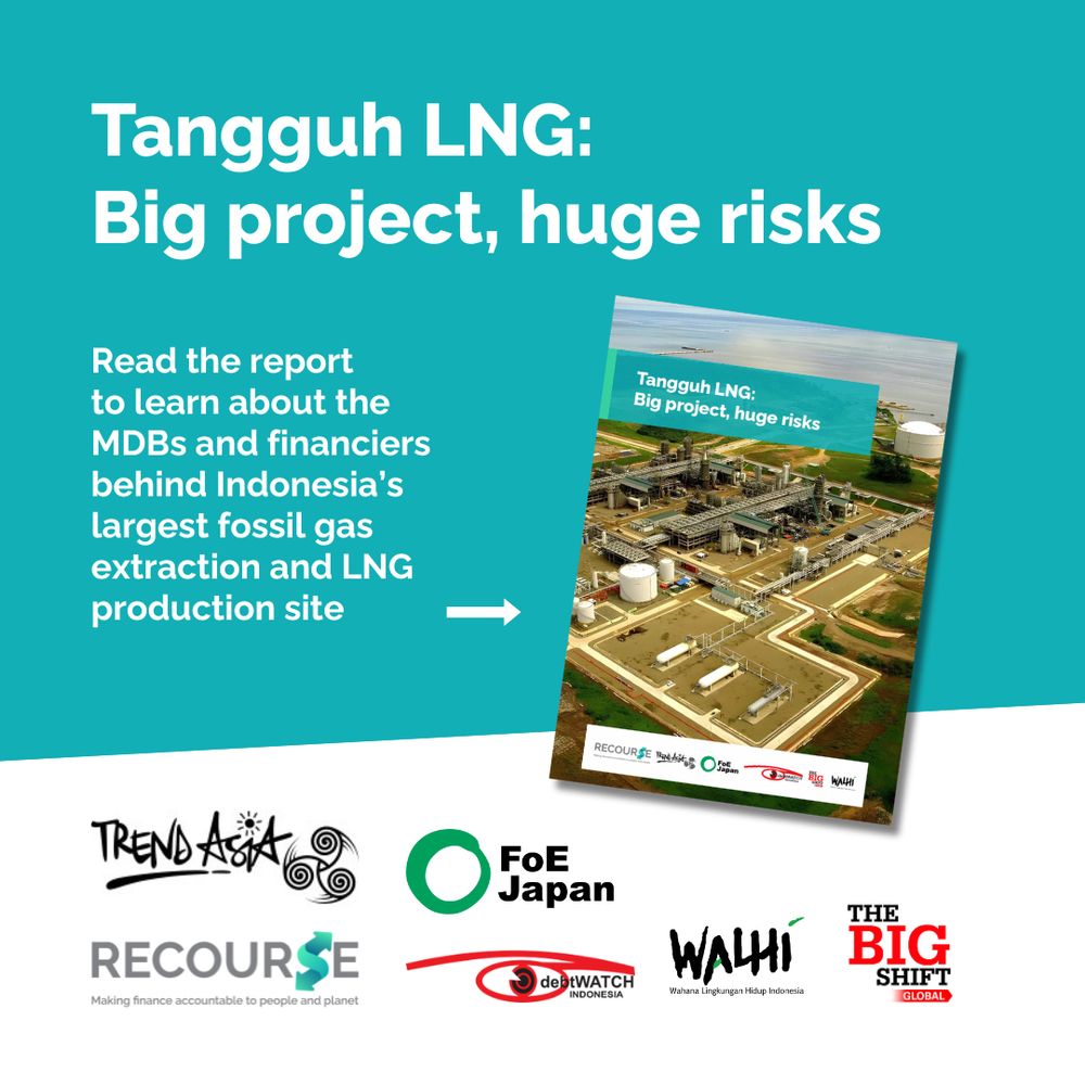 Blue background, white text "Tangguh LNG: Big project, huge risks. Read the report to learn about the MDBs and financiers behind Indonesia’s largest fossil gas extraction and LNG production site." Screenshot of report cover page and logos of co-publishing organisations. 
