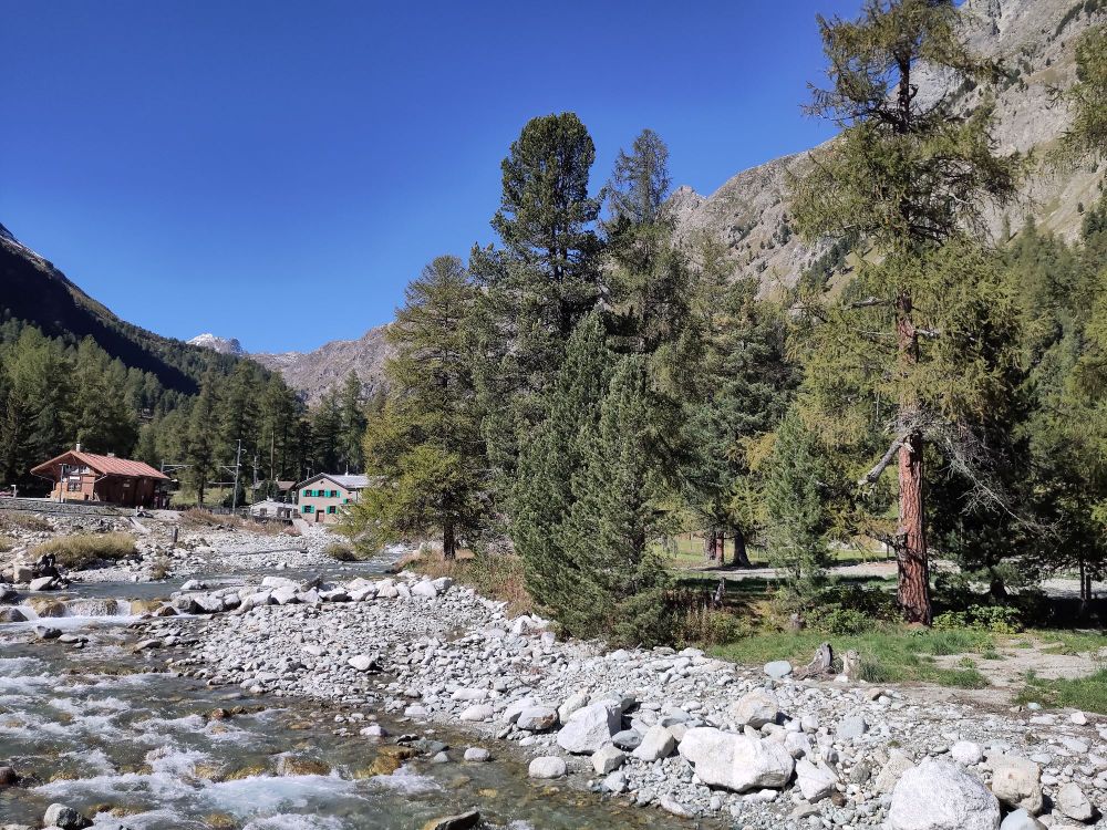 A brook cutting through a forest, with a couple of buildings and mountains visible in the distance