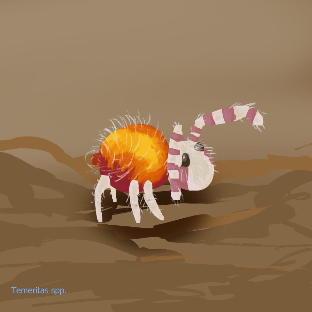 A small bright orange springtail