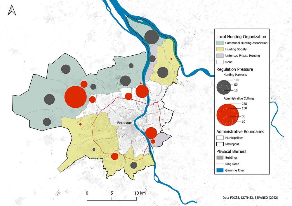 One year of wild boar population management in the municipalities of Bordeaux Metropolis
