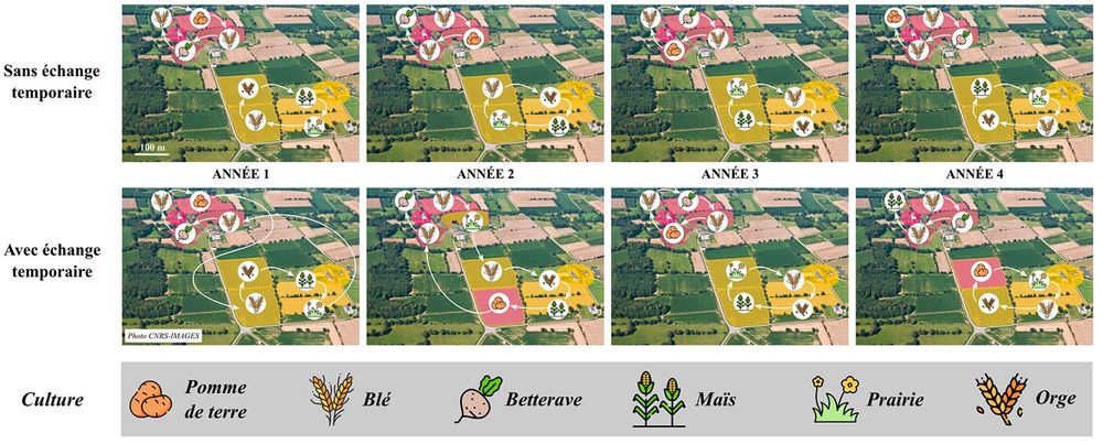 Figure extraite de l'article