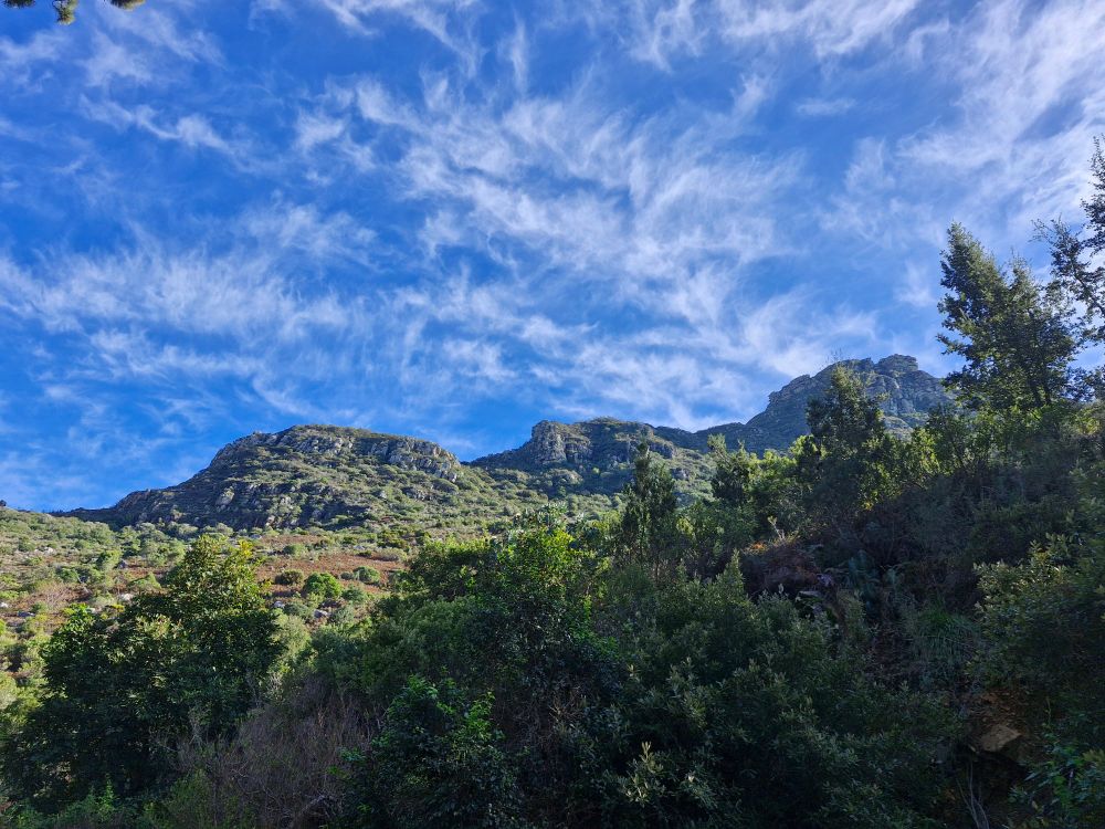 View of part of Table Mountain from Cecelia Forest jeep track.
