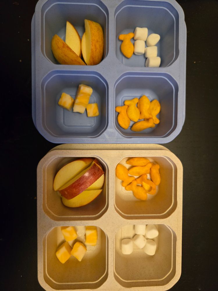 Food container with cheese cubes, mini marshmallows, gold fish crackers, and apple slices