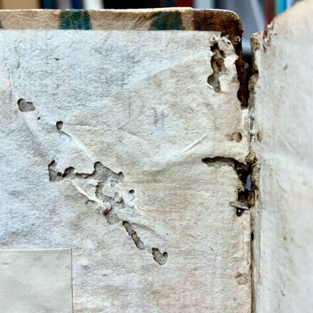 Bookworm damage. Gouges in endpaper of an antique book