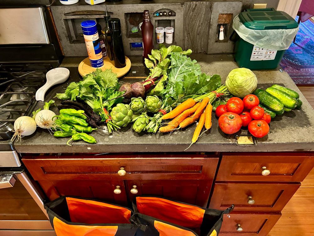 Unloaded from panniers and on my kitchen counter:

Beets, Cabbage, Kale, Artichokes, Onions, Carrots, Eggplant, Cucumbers, Tomatoes, Shiso, Shisito peppers
