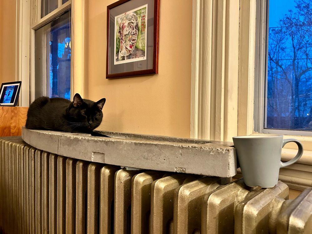 A long silver radiator in my living room, on which are resting my cup of coffee and my black cat Mako