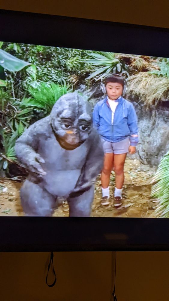 Son of Godzilla walking away from the kid in the movie. I don't know his name. I'm sorry.