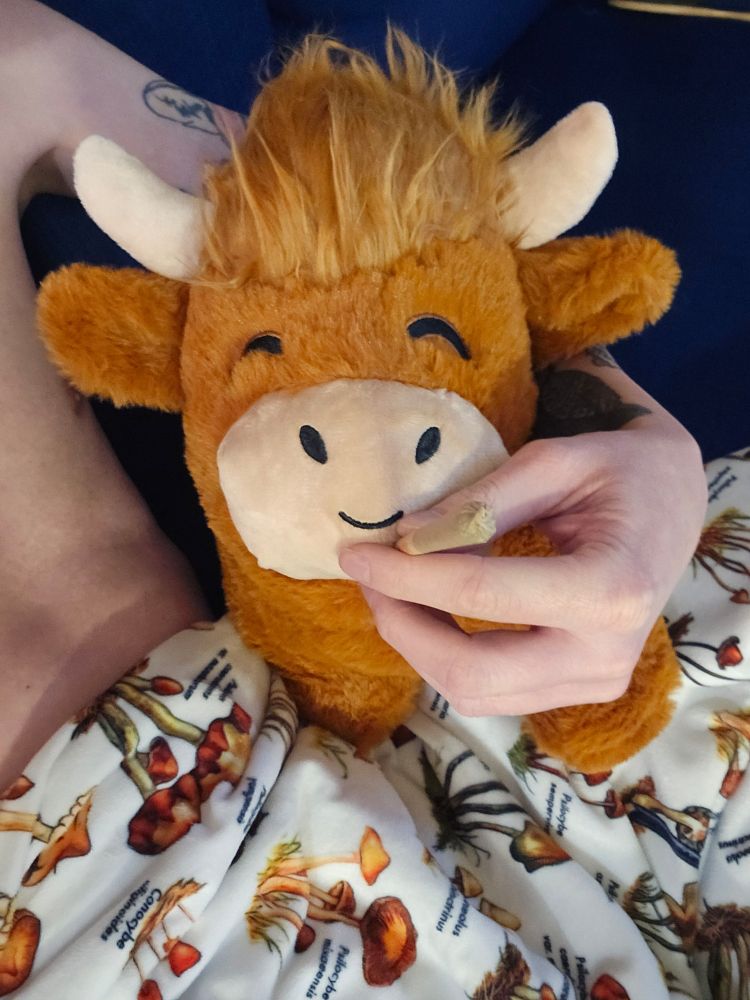 Same plushie smoking, making him a high highland cow