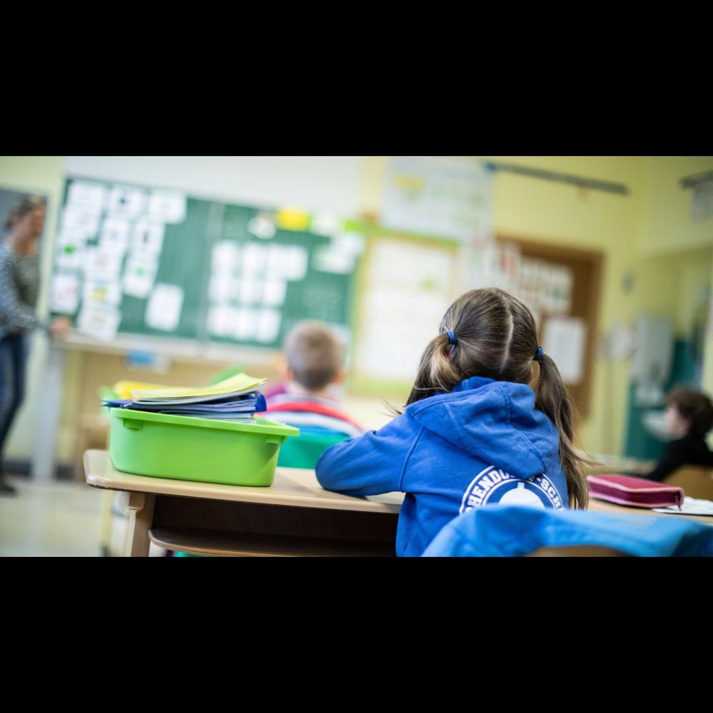 Pisa-Erfinder Schleicher im Interview: „Schulen können nicht komplett ausgleichen, was zu Hause f...