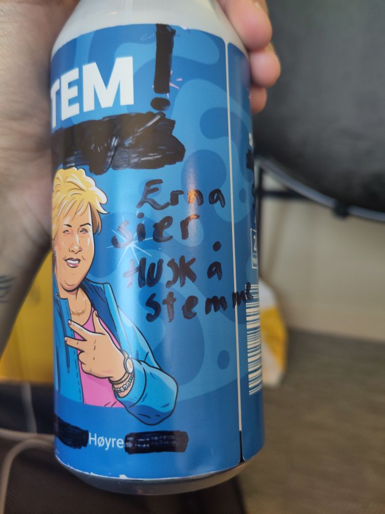 Samme som bilde 1 bare dra en annen vinkel. For siden av Erna står det "Erna sier husk å stemme" 