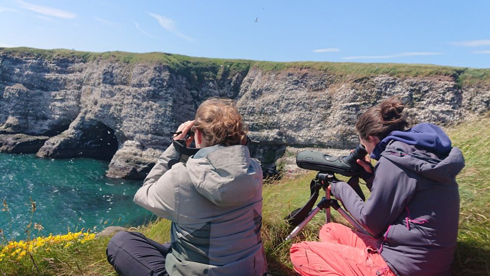 Two fieldworkers sit on a clifftop amongst the grass and wildflowers watching seabirds with a telescope and binoculars. The sun is shining, the sky is blue, the sea is shimmering turquoise, and all is good!