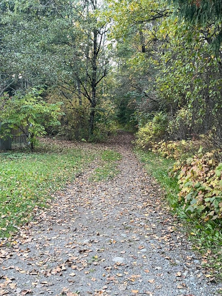 A gravel trail leading into a tree canopy. Leaves litter the ground. 