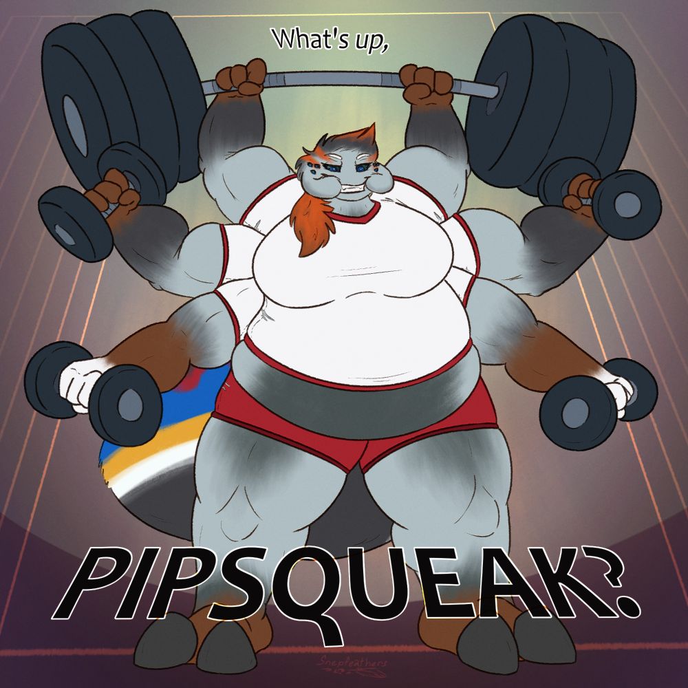 A digital drawing of a muscled and fat anthro spider. She is seen from a low angle, and is holding dumbbells and a barbell over her head. Text around her reads, "What's up, PIPSQUEAK?"