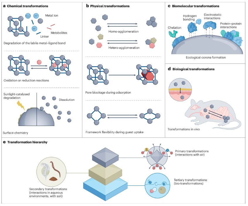 Transformation pathways of metal–organic frameworks