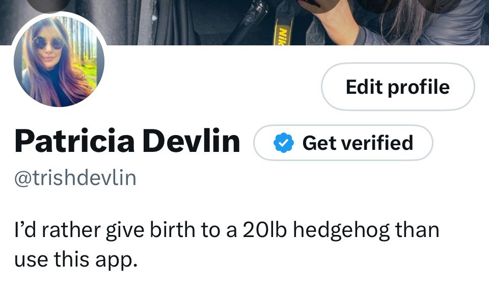 Screenshot of a X bio describing how the account holder would rather give birth to a 20lb hedgehog than use x/Twitter