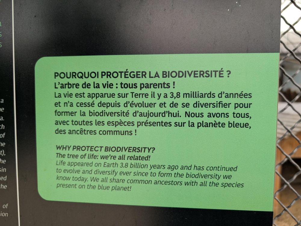 Une affiche de zoo disant:

POURQUOI PROTÉGER LA BIODIVERSITÉ? L'arbre de la vie: tous parents !

La vie est apparue sur Terre il y a 3,8 milliards d'années et n'a cessé depuis d'évoluer et de se diversifier pour former la biodiversité d'aujourd'hui. Nous avons tous, avec toutes les espèces présentes sur la planète bleue, des ancêtres communs !