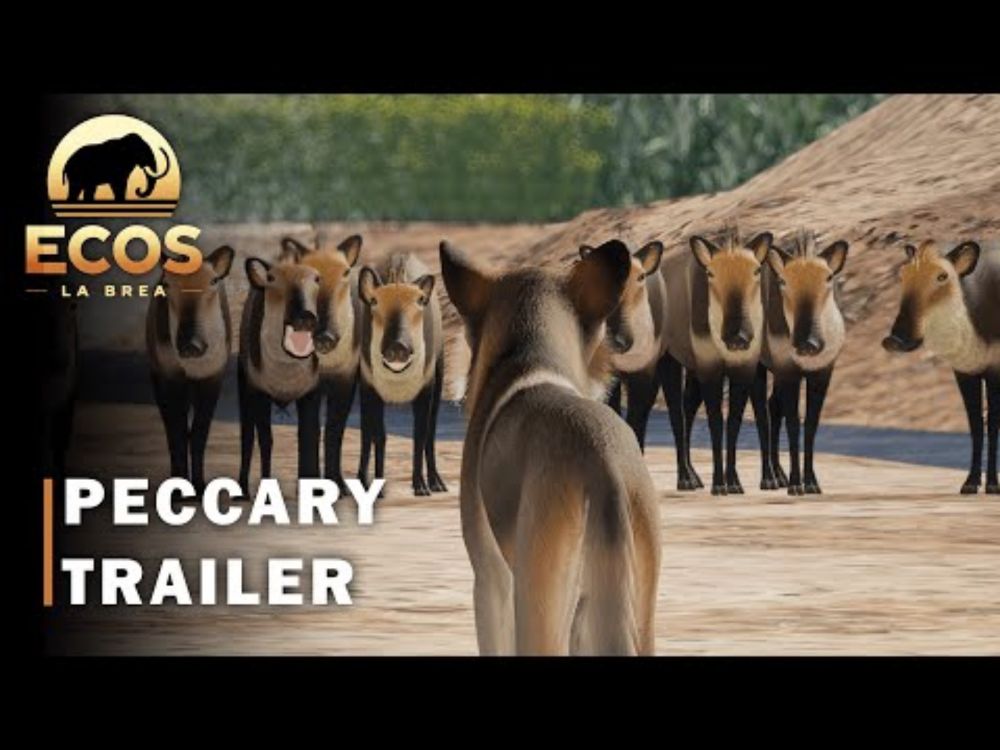 ECOS: LA BREA | Peccary Trailer