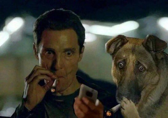 The True Detective Matthew McConaughey cigarette meme while he scrolls his phone, except it's a spliff, and his dog's there too looking just as disturbed by what he's seeing, and the dog also has a spliff
