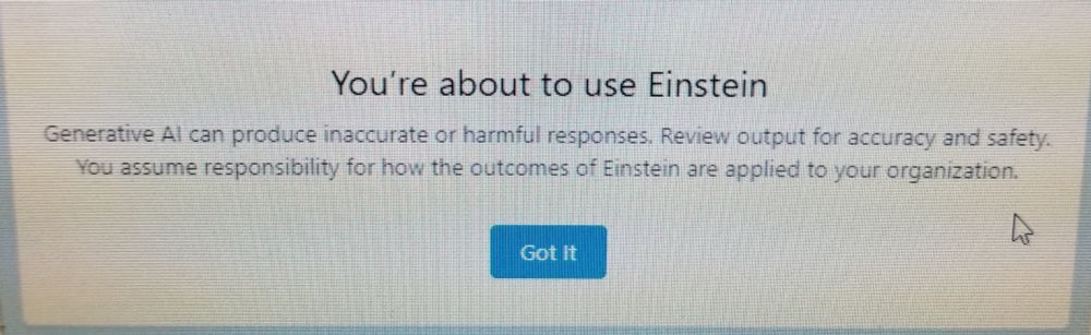 Screenshot reads: Generate AI can produce inaccurate or harmful responses. Review output for accuracy and safety. You assume responsibility for how the outcomes of Einstein are applied to your organization. 