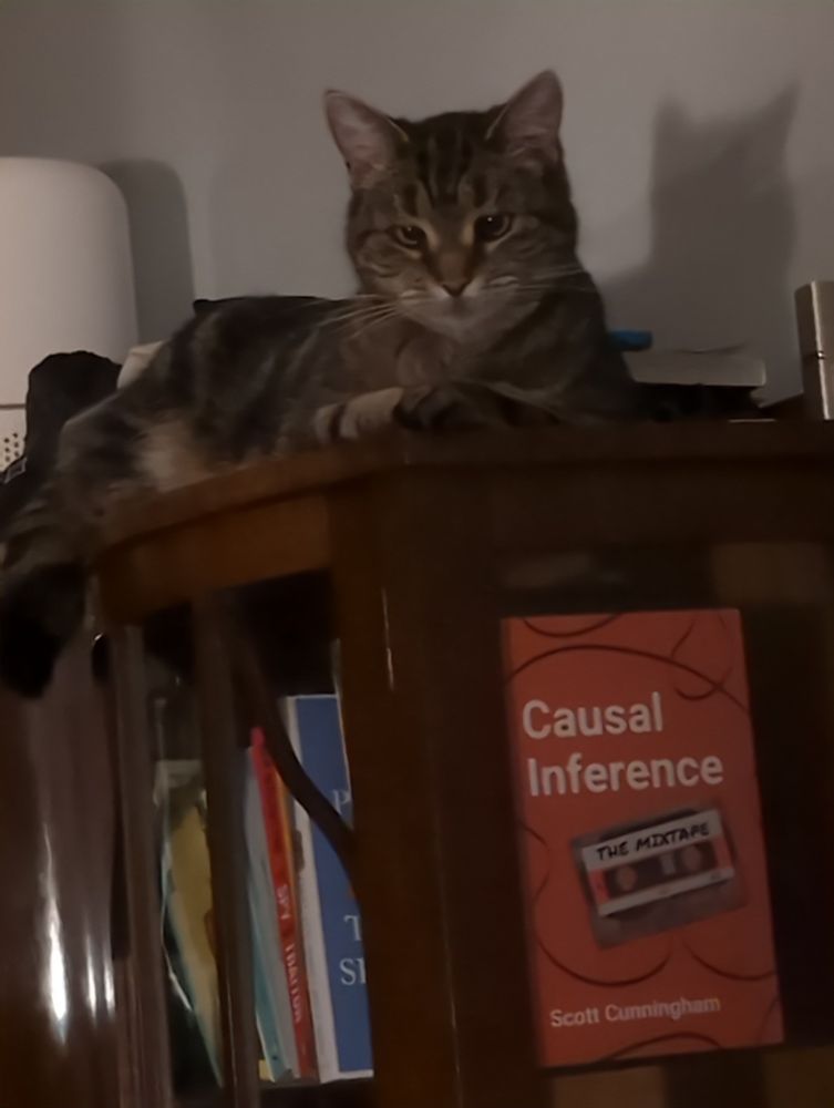 Very lovely tabby cat sitting on top of a bookcase in which is Scott Cunningham's book Causal Inference.
