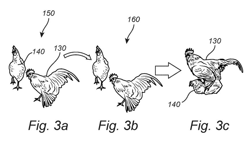Sequence of patent drawings illustrating a successful mating dance.