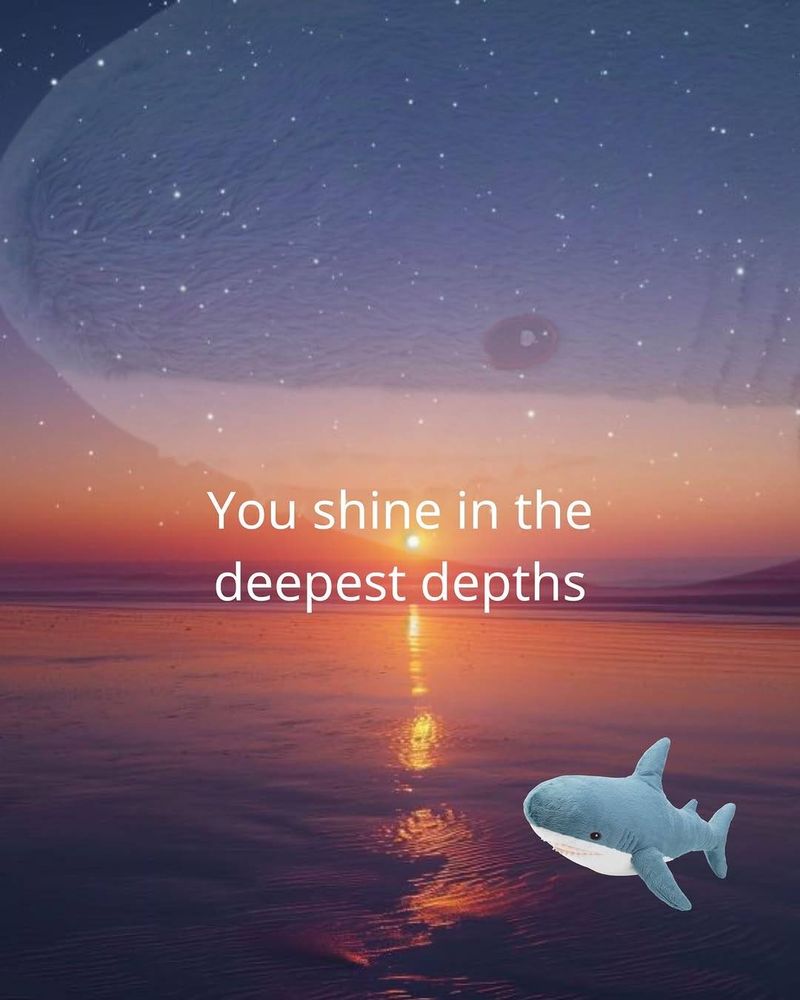 Blahaj motivation posters
