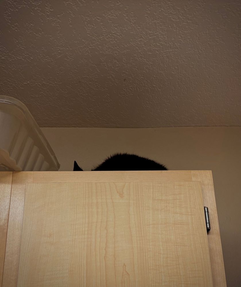 Black cat laying on top of kitchen cabinet, mostly hidden by the angle.