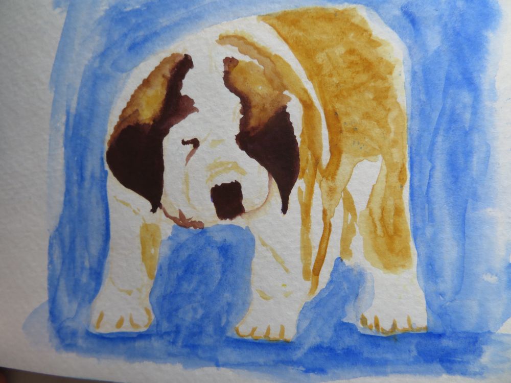 St Bernard puppy in watercolour on sketchbook paper.