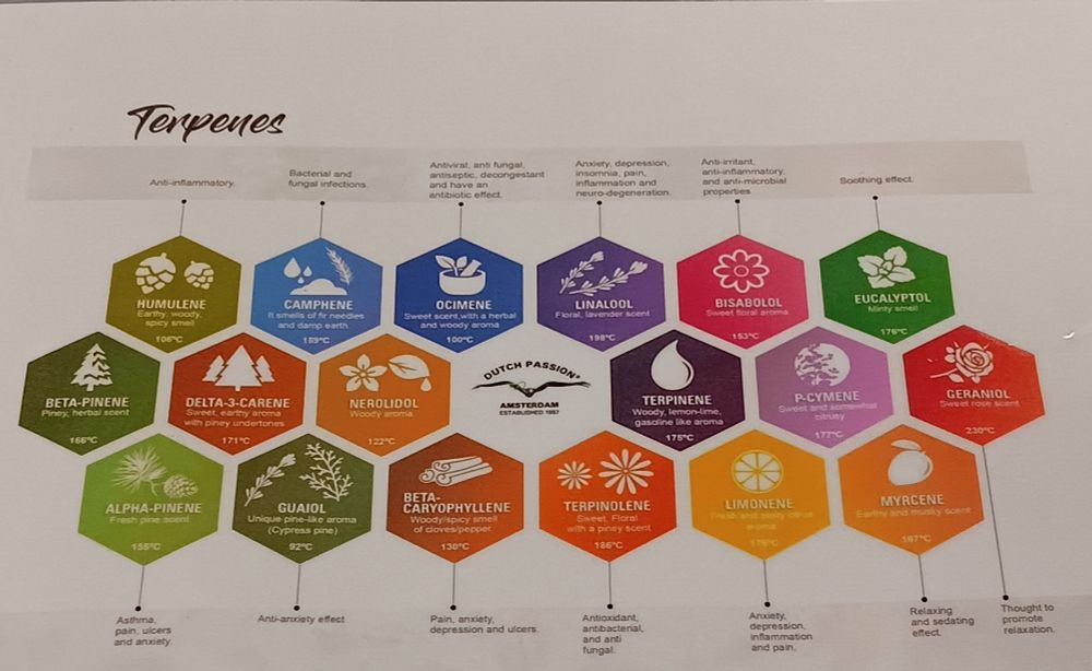 Terpene chart 