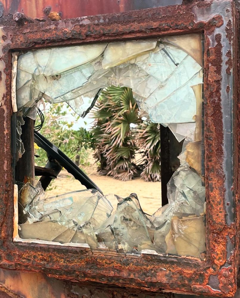 Photo of palmyrah trees through the shattered window of an abandoned jeep in Mullaitivu Beach in Sri Lanka.