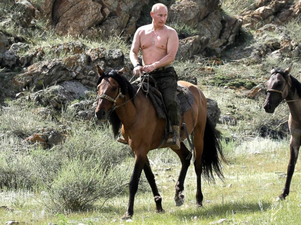 Vladimir Putin shirtless on a bay horse.